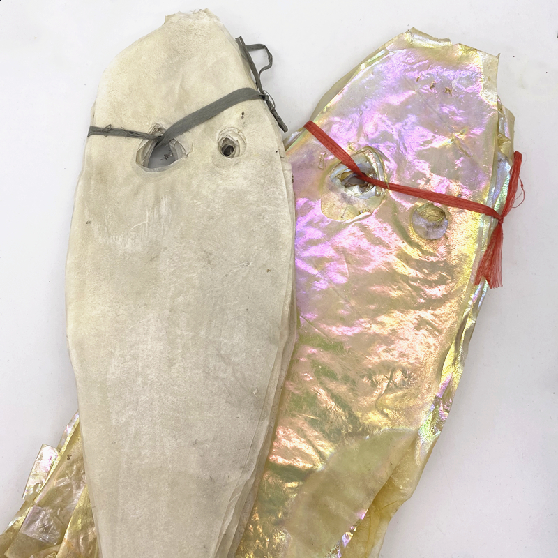 Fishing Boat Cover - 2Piece*Fishing Real Fish Skin Film for
